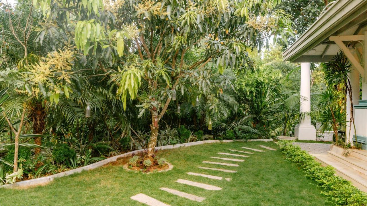 Fairy Cottage كاندي المظهر الخارجي الصورة